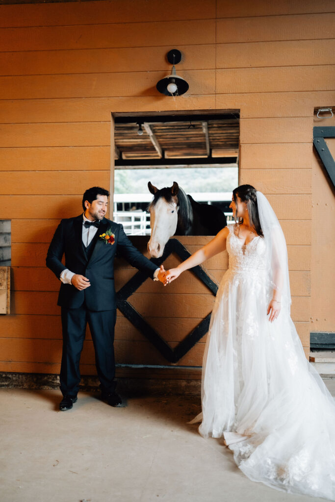 Kristen+DavidW24-727